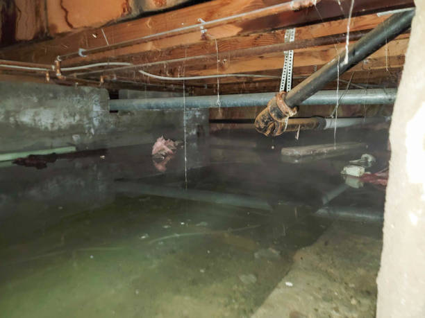  Sweetser, IN Water damage restoration Pros