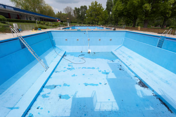 Best Basement water damage restoration  in Sweetser, IN