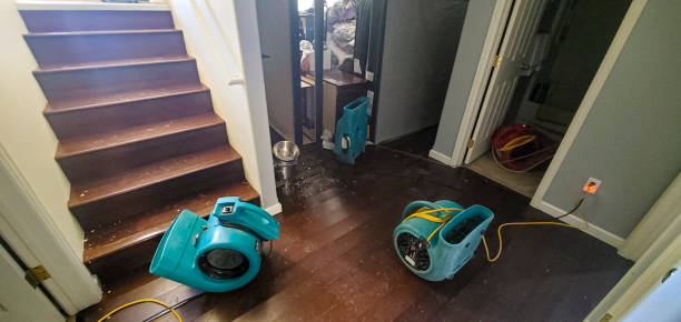 Best Ceiling water damage repair  in Sweetser, IN