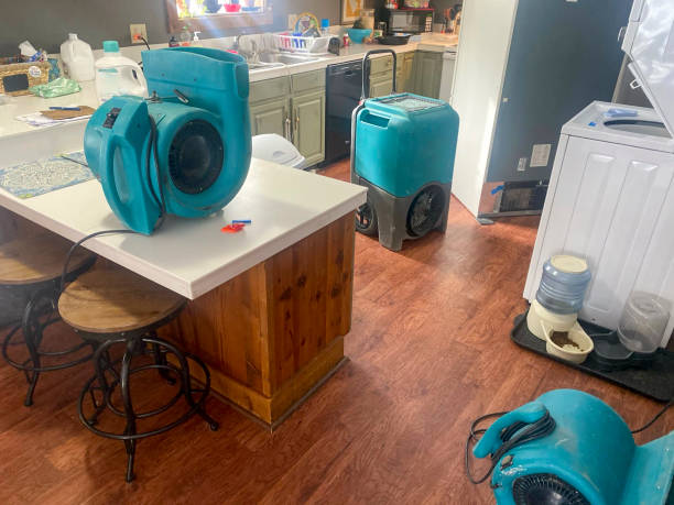 Best Water damage restoration experts  in Sweetser, IN