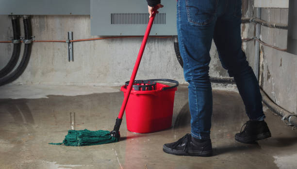 Best Water damage cleanup near me  in Sweetser, IN