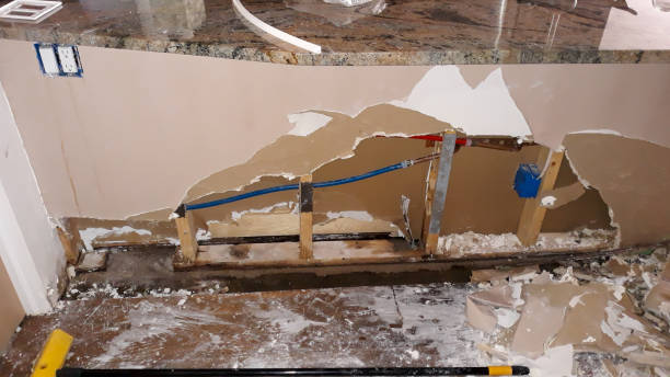 Best Mold removal after water damage  in Sweetser, IN