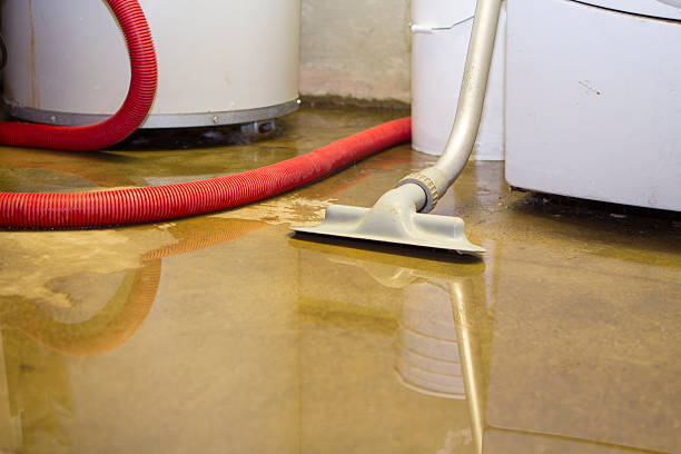Best Fire Damage Restoration  in Sweetser, IN