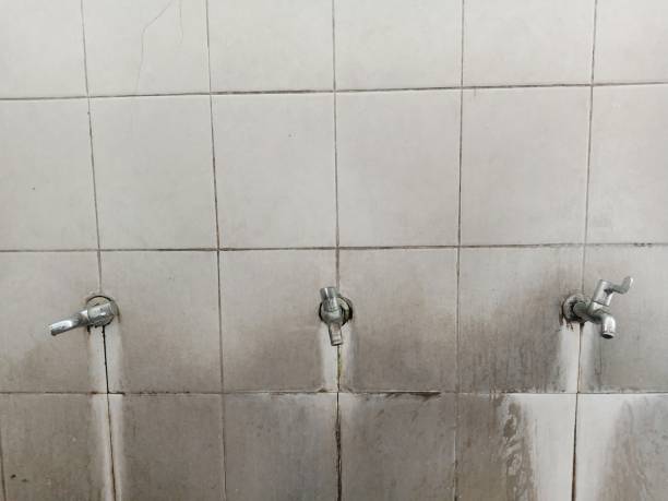 Best Basement water damage restoration  in Sweetser, IN