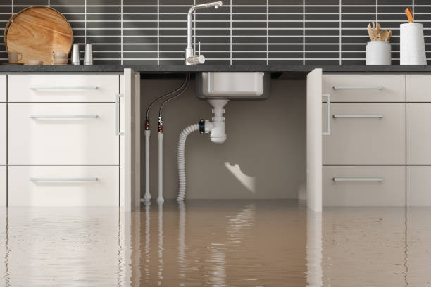 Best Water damage cleanup near me  in Sweetser, IN