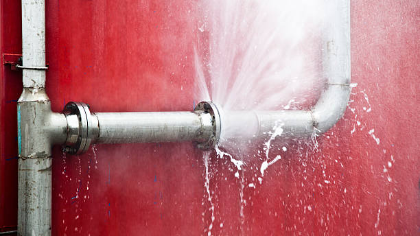 Best Water damage restoration mold remediation  in Sweetser, IN
