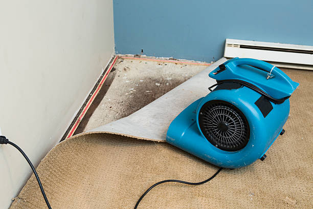 Best Local water damage restoration  in Sweetser, IN